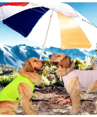 Kickred 2 Pack Dog Cooling Shirts - Ultra-Light Ice Pet Vests for Medium Dogs | Breathable Sleeveless T-Shirts (Violet + Green) - Instant Cooling Solution - Buy Online on GoSupps.com