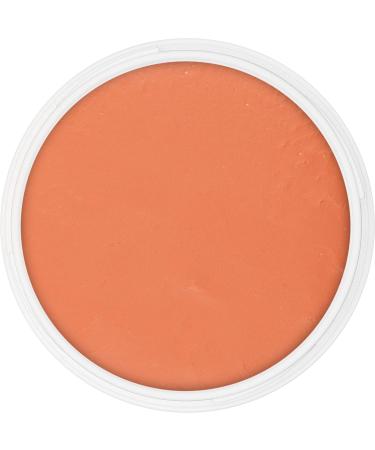 Kryolan Pintura Water Color Schminke 25ml - Terracotta | Washable Vegan Perfume-Free Paraben-Free Gluten-Free | Ideal for Kids Parties Carnival & Halloween - Buy Online on GoSupps.com