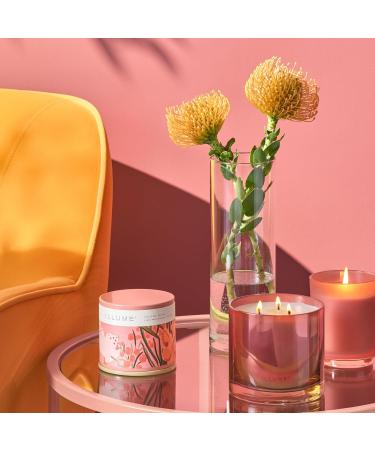 Beautifully Done Essentials Paloma Petal Scented Candle Refill - Premium International Shipping Available - Buy Online on GoSupps.com