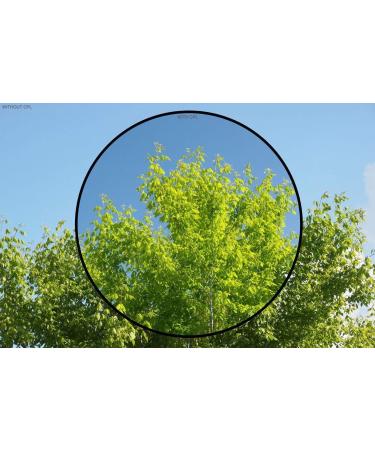 High Grade Multi-Coated 3 Piece Lens Filter Kit for Panasonic Lumix DMC-FZ200 | DMC-FZ300 - Buy Online on GoSupps.com