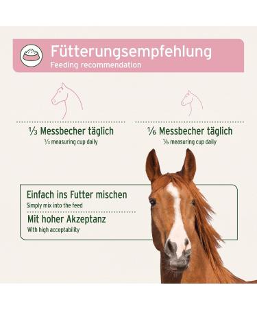 The original AniForte 4 in 1 Complete 3 kg for BT beer horses rich in prebiotika vital mineral vitamins and vitalins for new movements and quality of life - Buy Online on GoSupps.com