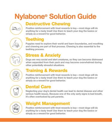 Nylabone Power Chew Breast Cancer Awareness Pink Dog Toy - Chicken Souper Chew - Buy Online on GoSupps.com