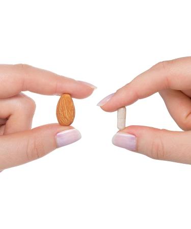Seeking Health Adrenal Cortex 50mg Capsules - Supports Nervous System, Stress Response, Energy & Immune System - 60 Vegetarian Capsules - Buy Online on GoSupps.com
