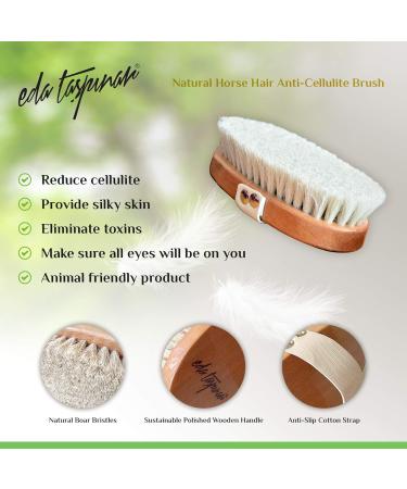 EDA Tasepin Dry Brush Set - Natural Horsehair Anti-Cellulite Body Peeling | Perfect Legs & Fit Body | Improve Lymph Function & Softer Skin - 2 Brushes in 1 Pack - Buy Online on GoSupps.com