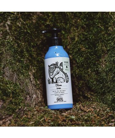 YOPE Champ | Para Cabello Graso | Olive | Para Uso Diario | Regula Gl ndulas Seb ceas | 98% Natural Ingredients | Formula Vegana | Olivo T Blanco y Albahaca | 400ml - Buy Online on GoSupps.com
