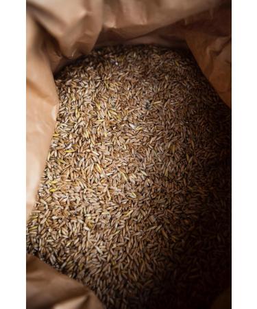  Kamelur Kamelur Organic spelt (500 g) - Whole grain from controlled organic farming in Germany - Buy Online on GoSupps.com