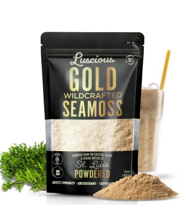 Irish Sea Moss Powder Gold -3 Pack of 3 Oz 100% Organic St. Lucia Sea Moss | Wildcrafted Superfood for Gut Health Immune Support Vegan Gluten-Free | Makes 120+ Fl Ounces of Gel