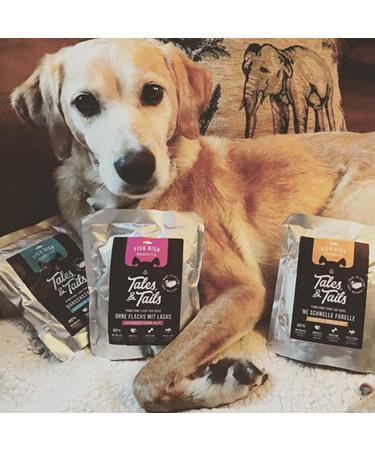 Tales & Tails 100% Icelandic Trout Wet Dog Food | Grain-Free Natural Nutrient-Rich Sugar-Free Wet Dog Food | Ne schnelle - Buy Online on GoSupps.com