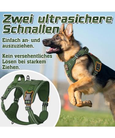 Rabbitgoo Adjustable Dog Harness for Small Dogs - Wear-Resistant Tactical Design with Metal Buckles & Handles - Perfect for Hiking - Green (1 Pack) - Buy Online on GoSupps.com
