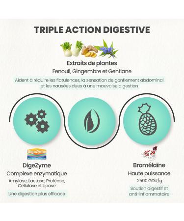 Digestive Natural - Difficult Digestion Gas and Abdominal Bloating - Vegan Digestive Enzymes - Digezyme Bromelain and Extracts of Fennel Ginger and Gentian No Additives - DIGELIT - Buy Online on GoSupps.com