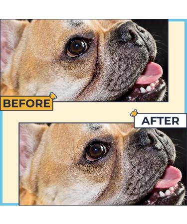 Bulldog Wrinkle & Hot Spot Treatment Ointment with Silver & Honey - Soothes Skin, Tail Pockets for French, English, Pug Bulldogs - Buy Online on GoSupps.com