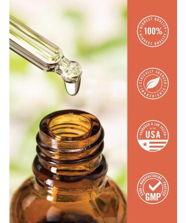 Carlyle Liquid Iodine Drops 4 fl oz | 150 mcg | Iodine & Potassium Iodide Supplement | Vegetarian Liquid Tincture | Non-GMO Gluten Free - Buy Online on GoSupps.com