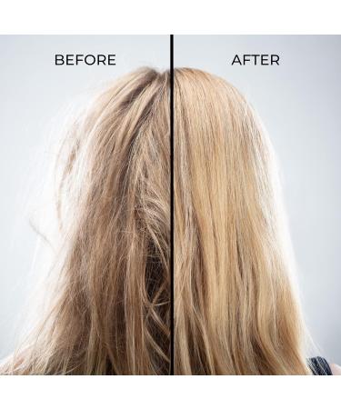 Stem+ Hair Growth Shampoo with Biotin | Sulfate-Free & Safe for Color-Treated Hair | Strengthens Nourishes & Repairs | 16 Fl Oz | Best Hair Thickening Shampoo for Hair Loss - Buy Online on GoSupps.com