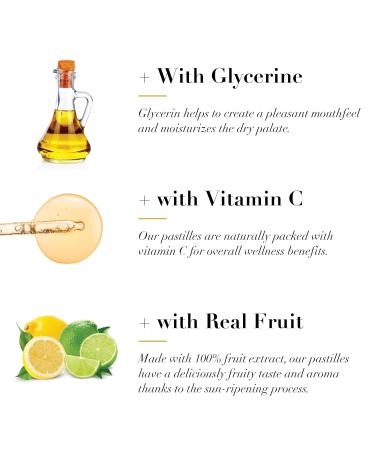 DOOLITTLE Dr Sugar Free Soft Fruit Pastilles for Voice and Throat Lemon Lime Flavor 2.12 Ounce Tin Approximately 25 Count Package 3 Pack 25 Count (Pack of 3) Lemon Lime-sf - Buy Online on GoSupps.com