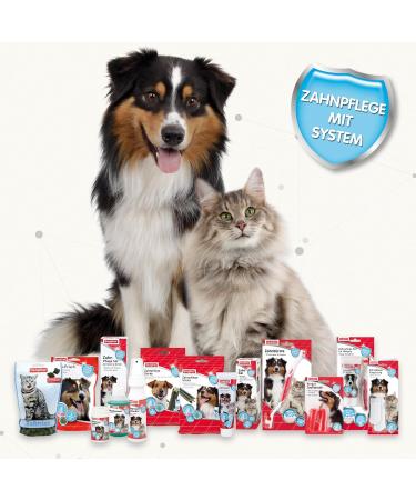 Beaphar Sea Algae Powder for Dogs & Cats - 100% Natural Dental Care - Fresh Breath & Muzzle Hygiene - 75g - Buy Online on GoSupps.com