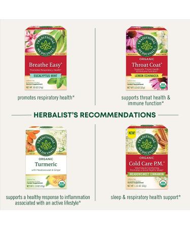 Traditional Medicinals Organic Echinacea Plus Elderberry Tea - 16 Tea Bags (Pack of 6) - Buy Online on GoSupps.com