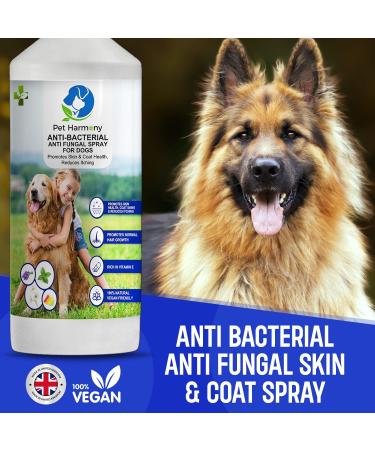 Pet Harmony Natural Dog Anti-Itch & Skin Healing Spray -500ml- Enriched with Chamomile Coconut & Essential Oils Promotes Hair Growth Anti-Bacterial Anti-Fungal Anti-Inflammatory Allergy Relief - Buy Online on GoSupps.com