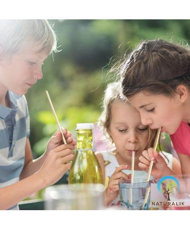 Naturalik Biodegradable Brown Paper Straws 300-Pack - Eco-Friendly & Durable Drinking Straws for Juices, Restaurants, Parties - Buy Online on GoSupps.com