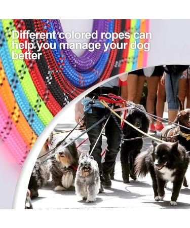 SK Depot 5ft Extra Strong Dog Leash Heavy Duty Reflective Rope Durable Metal Clasp Paracord for Large Dogs (Black 1 Dog Leash) 1 Dog Leash Black - Buy Online on GoSupps.com