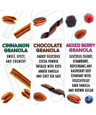 The Granola Bakery Cinnamon Chocolate Berry Nut Keto Granola Cereal 10 oz (Pack of 3) | Low Carb, Sugar Alcohol Free Snack - Buy Online on GoSupps.com