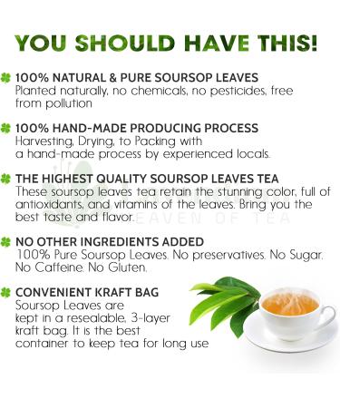 Lavendium 120+ Premium Soursop Graviola Dried Leaves 120-140 Natural Leaves Whole Soursop Leaves Wildcrafted Graviola Soursop Hoja Guanabana Soursop Loose Leaf Herbal Tea No Gluten Vegan Soursop Leaves 120 Bags - Buy Online on GoSupps.com