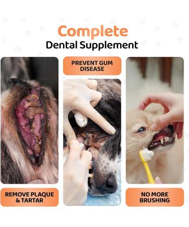 DogsLife Plaque Off Powder for Dogs - 500g | Organic Teeth Cleaning & Tartar Remover | Breath Freshener | 100% Natural Dental Care Solution - Buy Online on GoSupps.com