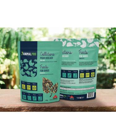 AnimalPro Crickets for birds 454 g - 1 LB - Buy Online on GoSupps.com