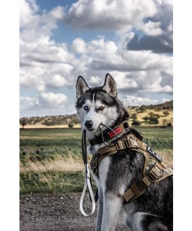 Oneigris Tactical Dog Harness - Fire Watcher Molle Vest for Training & Service - Durable 1000D Nylon (Small Ranger Green) - Buy Online on GoSupps.com