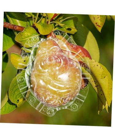 VINTORKY Shaped Growth Fruit for Shaping Reusable Forming Shaper Melon Ginseng Watermelon - Buy Online on GoSupps.com