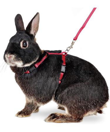 Buy Karlie Art Sportiv Plus Rabbit Harness & Leash - Red 140 cm | Durable Comfortable eCommerce Shipping Worldwide - Buy Online on GoSupps.com