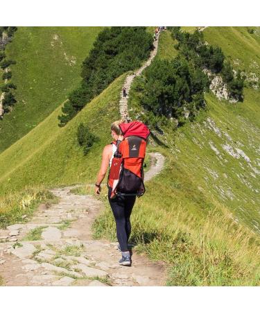 Hydro Energy 8-Pack Replacement Straws for Wide Mouth Hydro Flask Water Bottle (9.5 Inch) - Buy Online on GoSupps.com