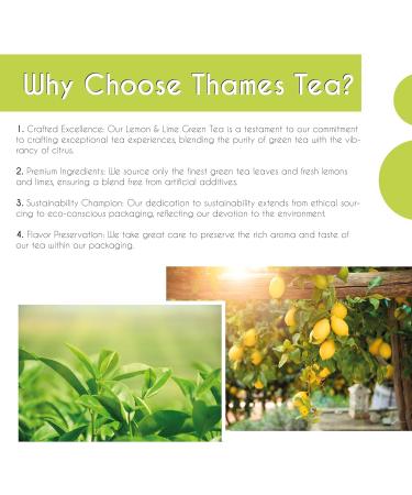 Thames Tea | Premium Flavoured Loose Leaf Tea | Fruit & Herbal Blend | Luxury British Tea Experience | Tubebox (Lemon & Lime Green Tea) - Buy Online on GoSupps.com