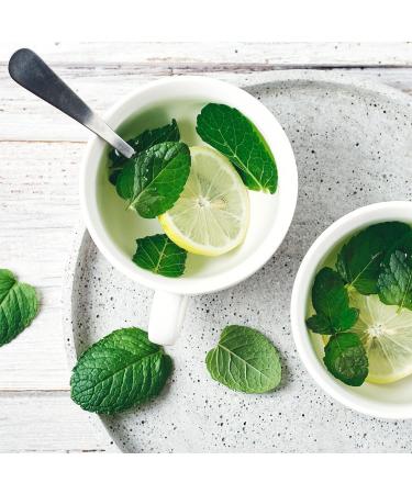  IDDA Herbal IDDA Herbal Peppermint Herbal Tea 250g Dried and Cut Mint Loose Tea Mentha Piperita - Buy Online on GoSupps.com