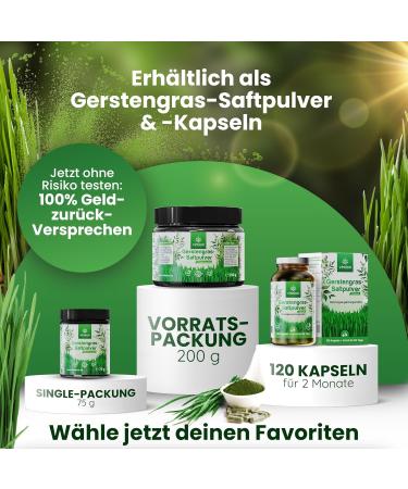 Vimion Pure Barley Grass Juice Powder - Premium Raw Vegan Superfood Rich in Iron & Vitamins (75g) - Buy Online on GoSupps.com