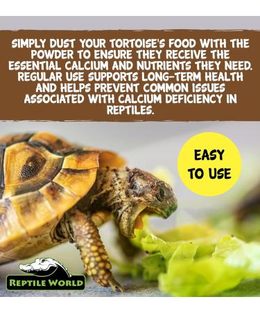 Reptile World Tortoise Calcium Powder 100g Calcium with Botanical Herbs & Bee Pollen - Buy Online on GoSupps.com