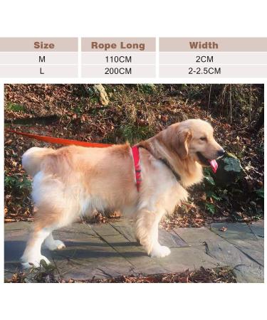 Buy Durable Orange Dog Leash for Puppies | 2m Padded Pet Leash Strap - Fast International Shipping - Buy Online on GoSupps.com