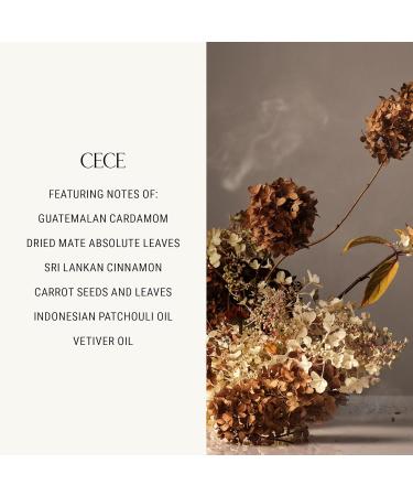 Homecourt Hand Wash Gently Cleanses & Hydrates Removes Dirt & Debris Without Irritating Skin Clean Formula Cece 2.0 12 fl oz - Buy Online on GoSupps.com