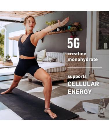 Isopure Bundle of Low Carb 100% Pure Whey Isolate Protein Powder Dutch Chocolate 25g Protein Per Serving 1 Lb 15 Servings + Isopure 100% Pure Creatine Monohydrate Powder 100 Servings Dutch Chocolate 1 Pound & Creatine  - Buy Online on GoSupps.com