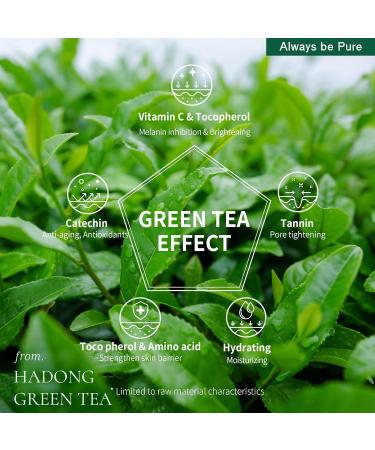 Mooncat Rich Moist Green Tea Sleeping Mask 50ml | Hydrating Hypoallergenic Korean Skincare for Sensitive Skin | Ceramide Moisturizer | Non-Sticky Texture - Buy Online on GoSupps.com