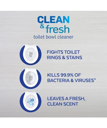 Lysol Power & Fresh Cling Toilet Bowl Cleaner Country Scent 24oz (Pack of 4) - Buy Online on GoSupps.com