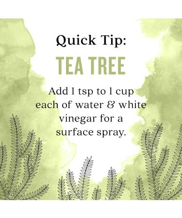 Aura Cacia Tea Tree Essential Oil 16 fl. oz. | Pure & Natural | International Shipping Available - Buy Online on GoSupps.com