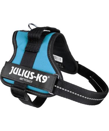 K9 Powerharness S/Mini - Aquamarine | Shop Internationally for the Best Dog Harness  - Buy Online on GoSupps.com