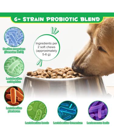 Probiotics Chews for Dogs 60 Counts Pre & Digestive and Immunity Treats for Dog 60Pcs Support Gut Health Seasonal Allergies Itchy Skin for All Type Dogs (Duck Flavor) - Buy Online on GoSupps.com