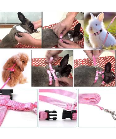 Adjustable Rabbit & Pet Harness Set - Blue & Pink Leash for Dogs Kittens Rabbits & Guinea Pigs | International Shipping - Buy Online on GoSupps.com