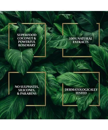 Parachute Advansed Rosemary-enriched Coconut Hair Oil| Rosemary Hair Oil| Superfoods Magic| Long & Thick Hair|300 Ml - Buy Online on GoSupps.com