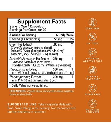 Dr Amen BrainMD Focus & Energy - 120 Capsules | Mental Endurance Booster | Promotes Concentration & Attention | Caffeine Free | Gluten Free - Buy Online on GoSupps.com