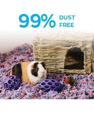 Carefresh Dust-Free Confetti Natural Paper Small Pet Bedding - 10L | Odor Control | Eco-Friendly - Buy Online on GoSupps.com