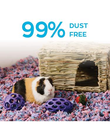 carefresh Confetti Natural Paper Small Pet Bedding 50L - 99% Dust-Free, Odor Control - Buy Online on GoSupps.com
