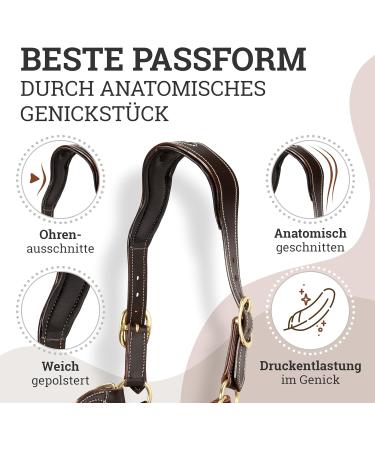 Esposita Seilhafter Ranch Halfter for Horses | Leather & Rope with Brass Fittings | Ideal Bite-Free Halter | Brown Pony Size - Buy Online on GoSupps.com