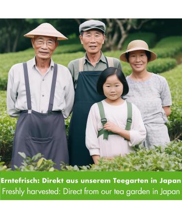 Goodwei Sencha Green Tea Organic from Japan higher quality authentic Sencha 250g - Buy Online on GoSupps.com